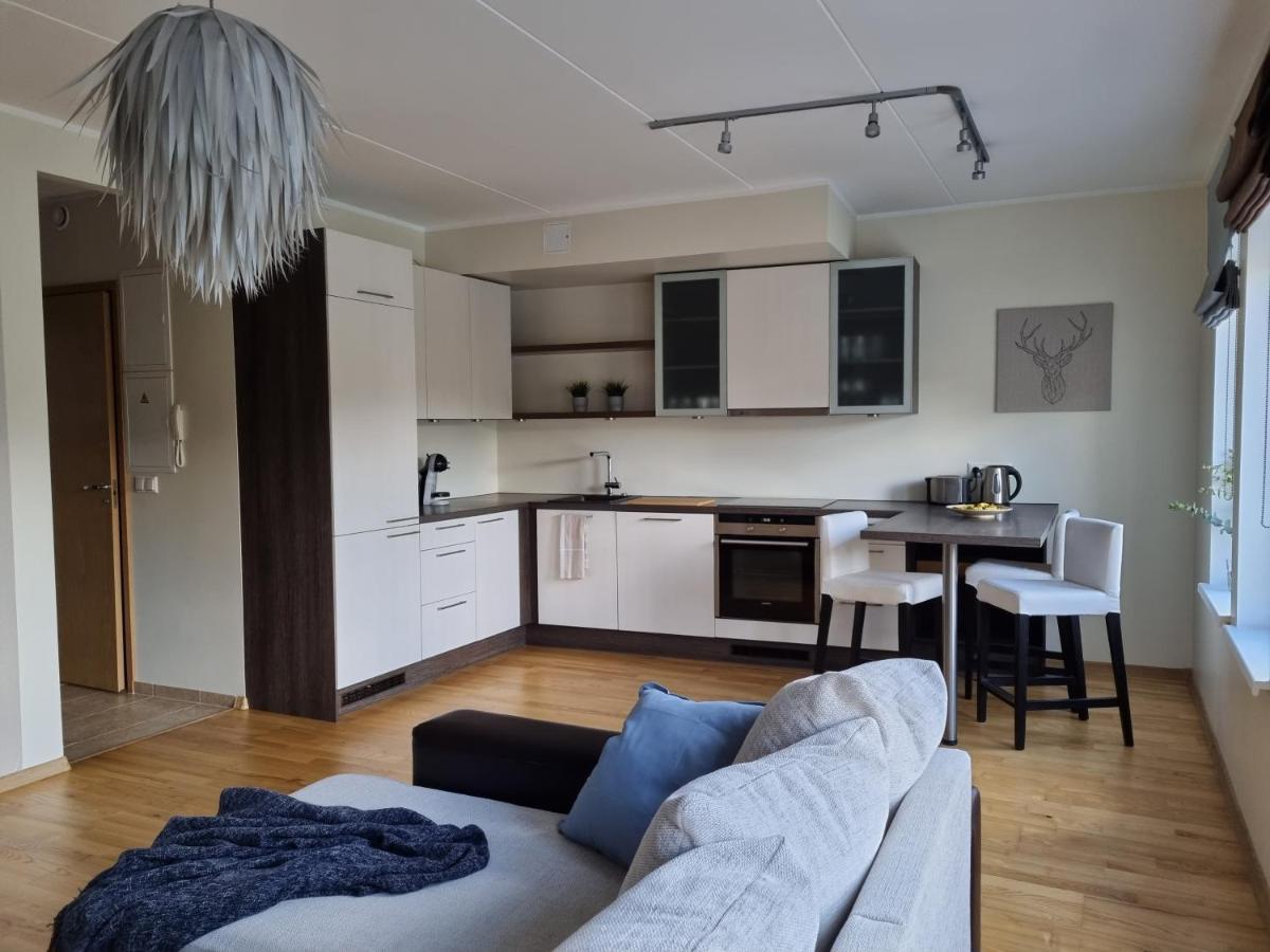 R63 Apartment With Terrace タルトゥ エクステリア 写真