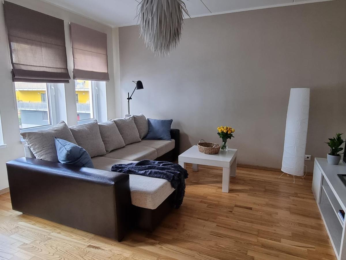 R63 Apartment With Terrace タルトゥ エクステリア 写真